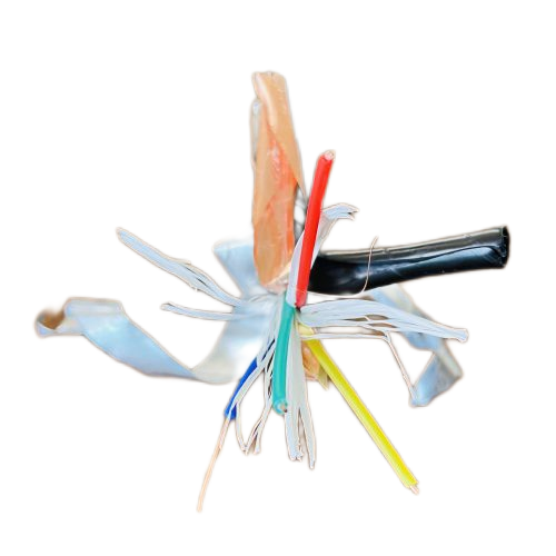 海博论坛·hibet(中国)官方网站