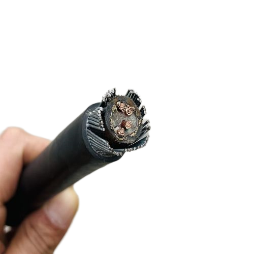 海博论坛·hibet(中国)官方网站