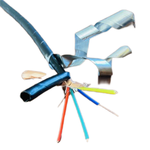 海博论坛·hibet(中国)官方网站