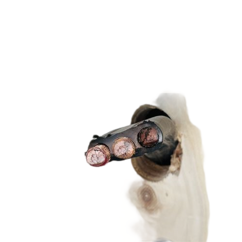 海博论坛·hibet(中国)官方网站