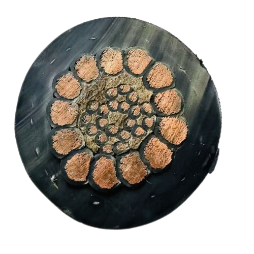 海博论坛·hibet(中国)官方网站