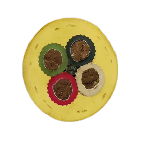 海博论坛·hibet(中国)官方网站