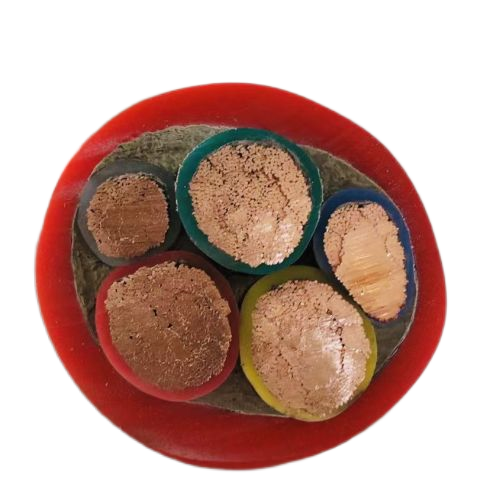 海博论坛·hibet(中国)官方网站