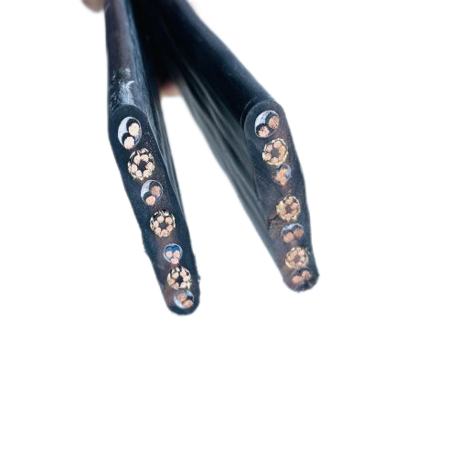 海博论坛·hibet(中国)官方网站