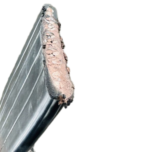 海博论坛·hibet(中国)官方网站