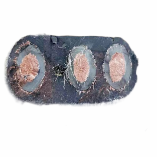 海博论坛·hibet(中国)官方网站