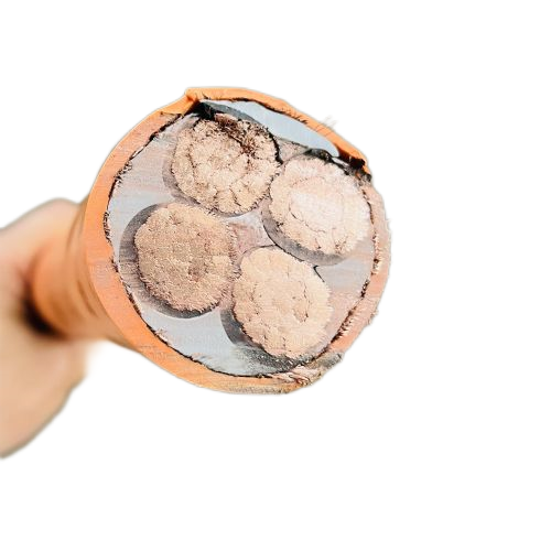 海博论坛·hibet(中国)官方网站