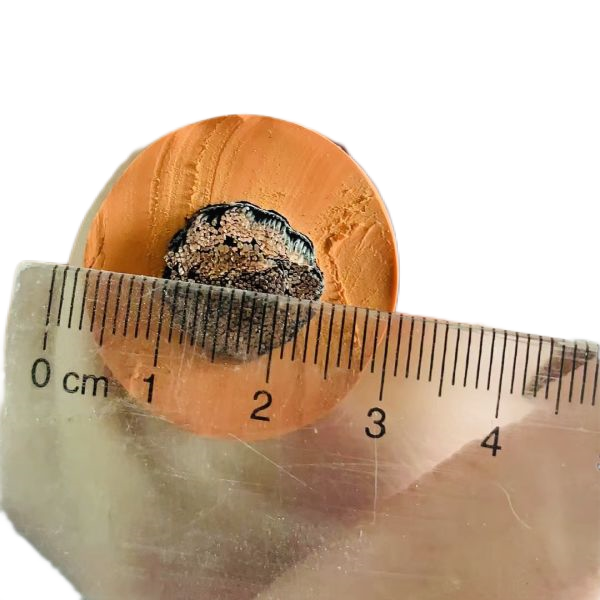 海博论坛·hibet(中国)官方网站