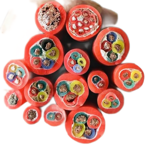 海博论坛·hibet(中国)官方网站