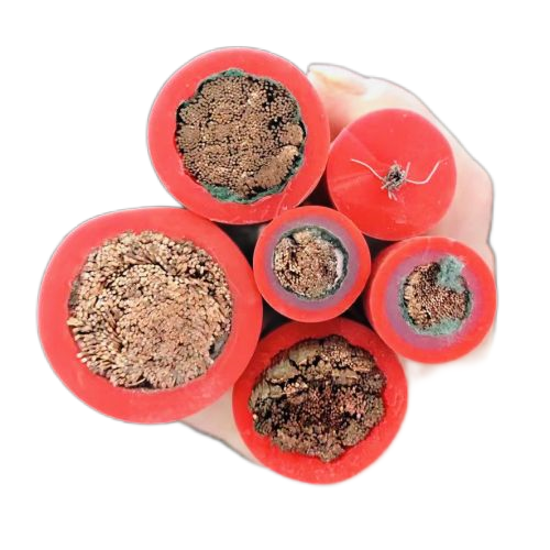 海博论坛·hibet(中国)官方网站