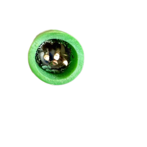 海博论坛·hibet(中国)官方网站