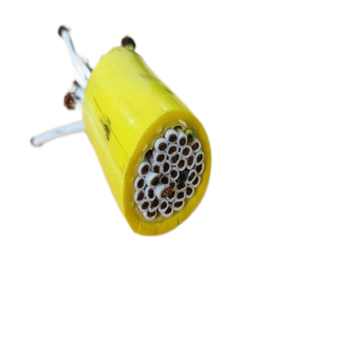 海博论坛·hibet(中国)官方网站