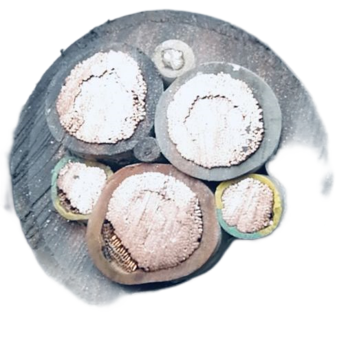 海博论坛·hibet(中国)官方网站