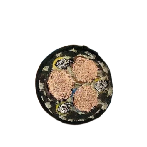 海博论坛·hibet(中国)官方网站