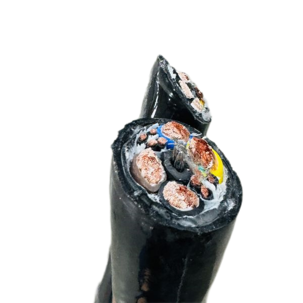 海博论坛·hibet(中国)官方网站