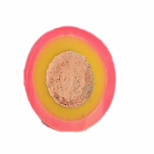 海博论坛·hibet(中国)官方网站