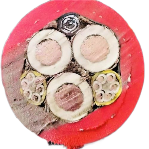 海博论坛·hibet(中国)官方网站