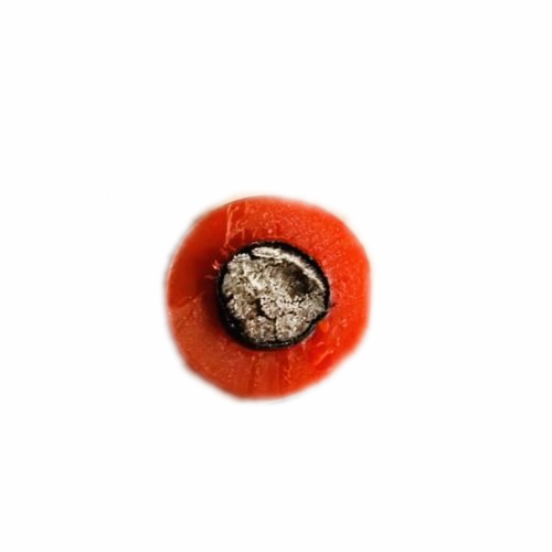 海博论坛·hibet(中国)官方网站