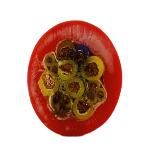 海博论坛·hibet(中国)官方网站