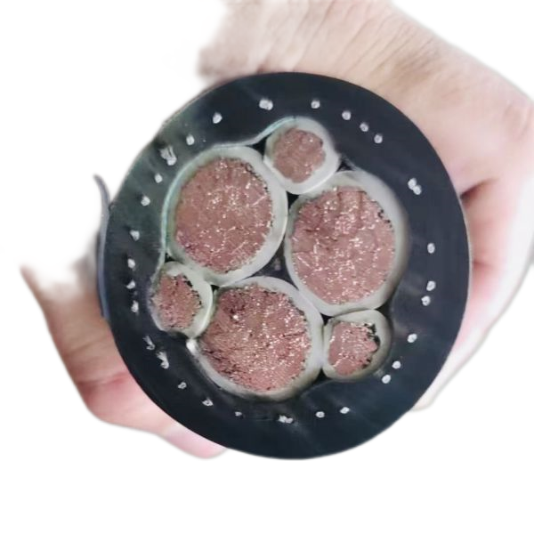 海博论坛·hibet(中国)官方网站