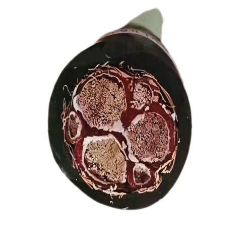 海博论坛·hibet(中国)官方网站