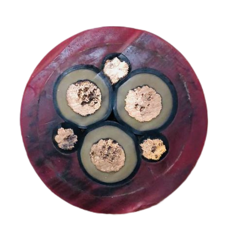 海博论坛·hibet(中国)官方网站