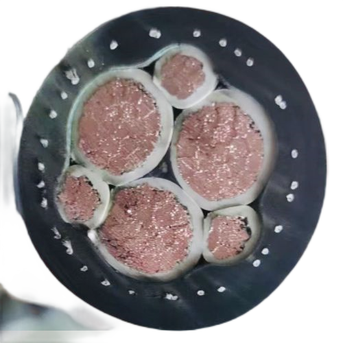 海博论坛·hibet(中国)官方网站