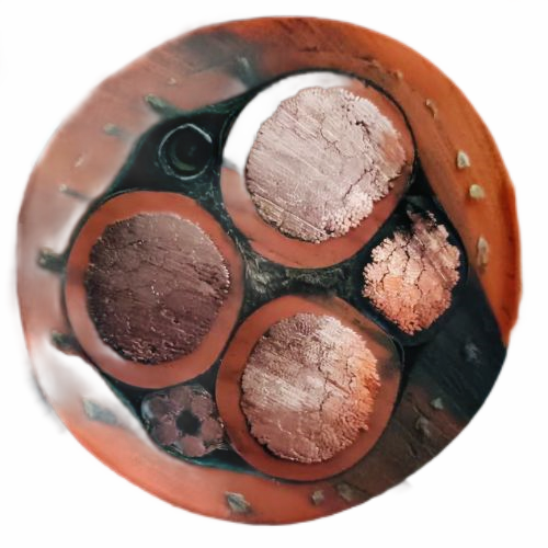 海博论坛·hibet(中国)官方网站