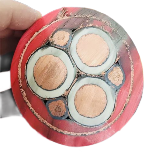 海博论坛·hibet(中国)官方网站