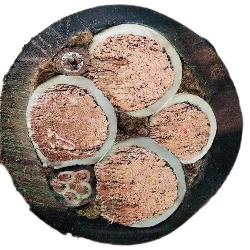 海博论坛·hibet(中国)官方网站