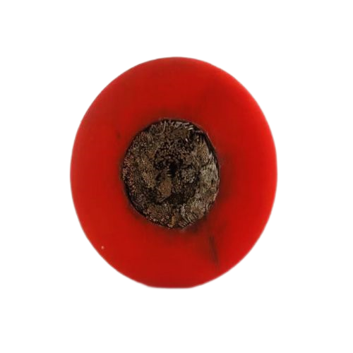 ������̳��hibet(�й�)�ٷ���վ